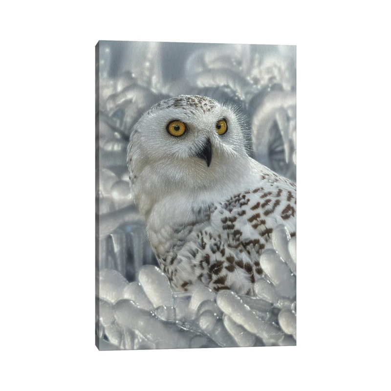 «Snowy Owl Sanctuary» par Collin Bogle - impression, H 26 po x l 18 po x 1,5 po