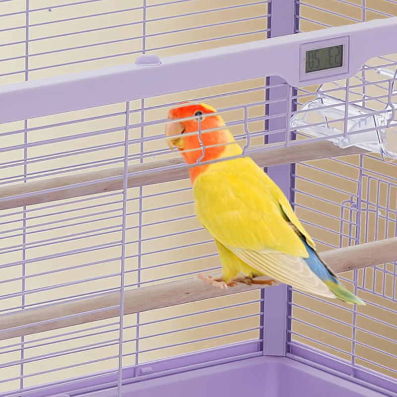 Bird Cage For Small Birds