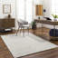 Oriental Area Rug-1714296868-1679011105
