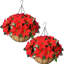 2 pièces de paniers de Noël artificiels suspendus au panier de fleurs rouges