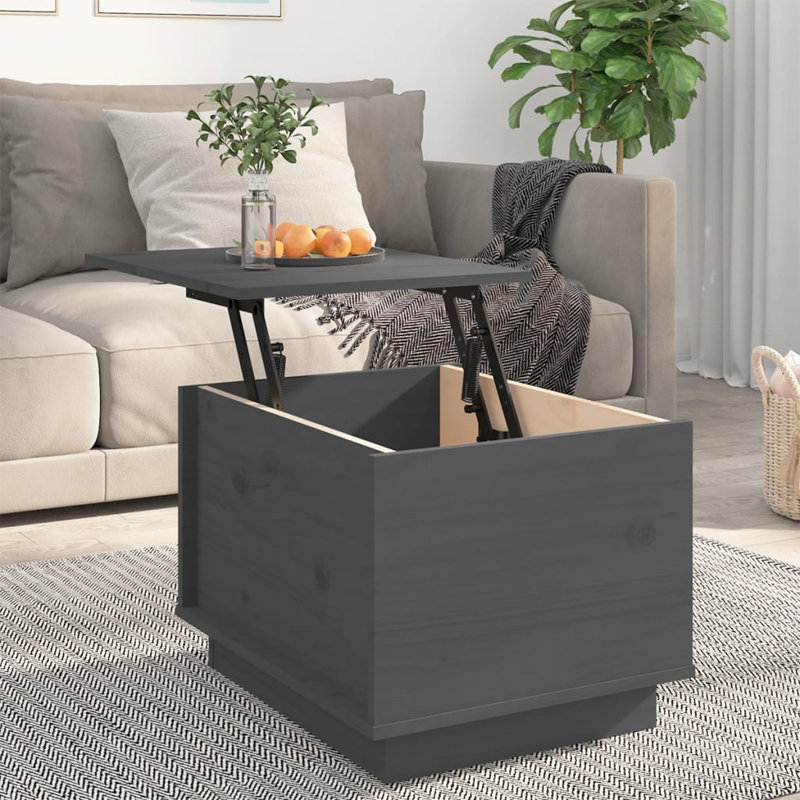 Zendaya Solid Wood Lift Top Solid Coffee Table with Storage, Grey
