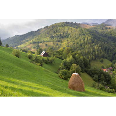" Summer Landscape "