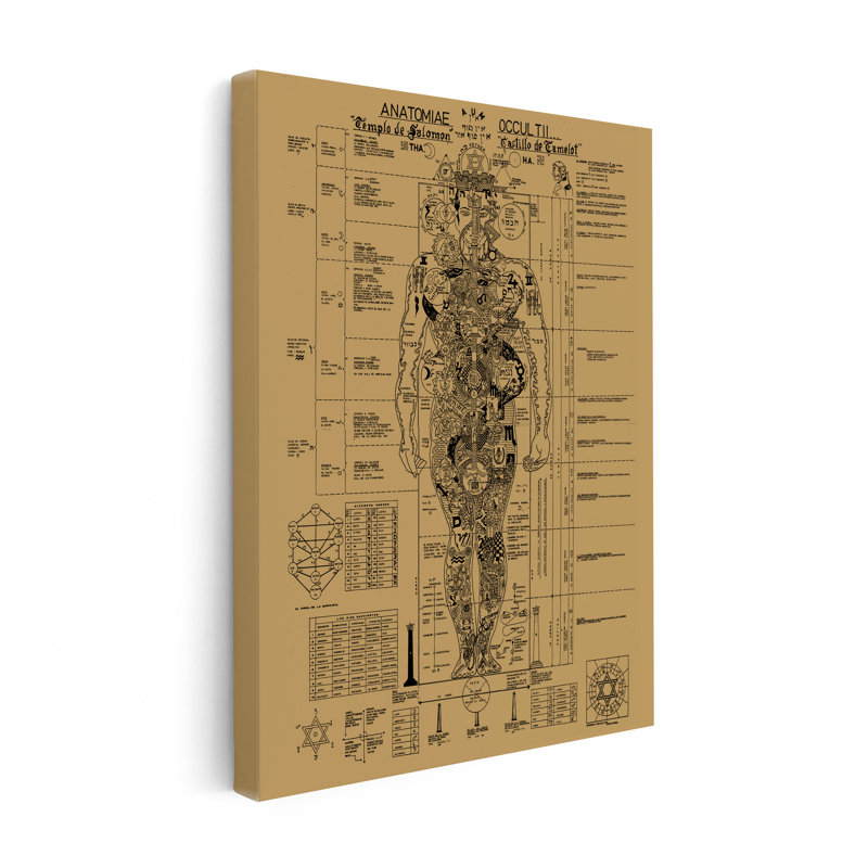 Occult Anatomy, Sans cadre, Canevas, H 24 po x l 32 po