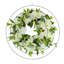 22" Spring Wreath with Hydrangeas and Lemons