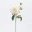 Rose Faux Floral-807825547