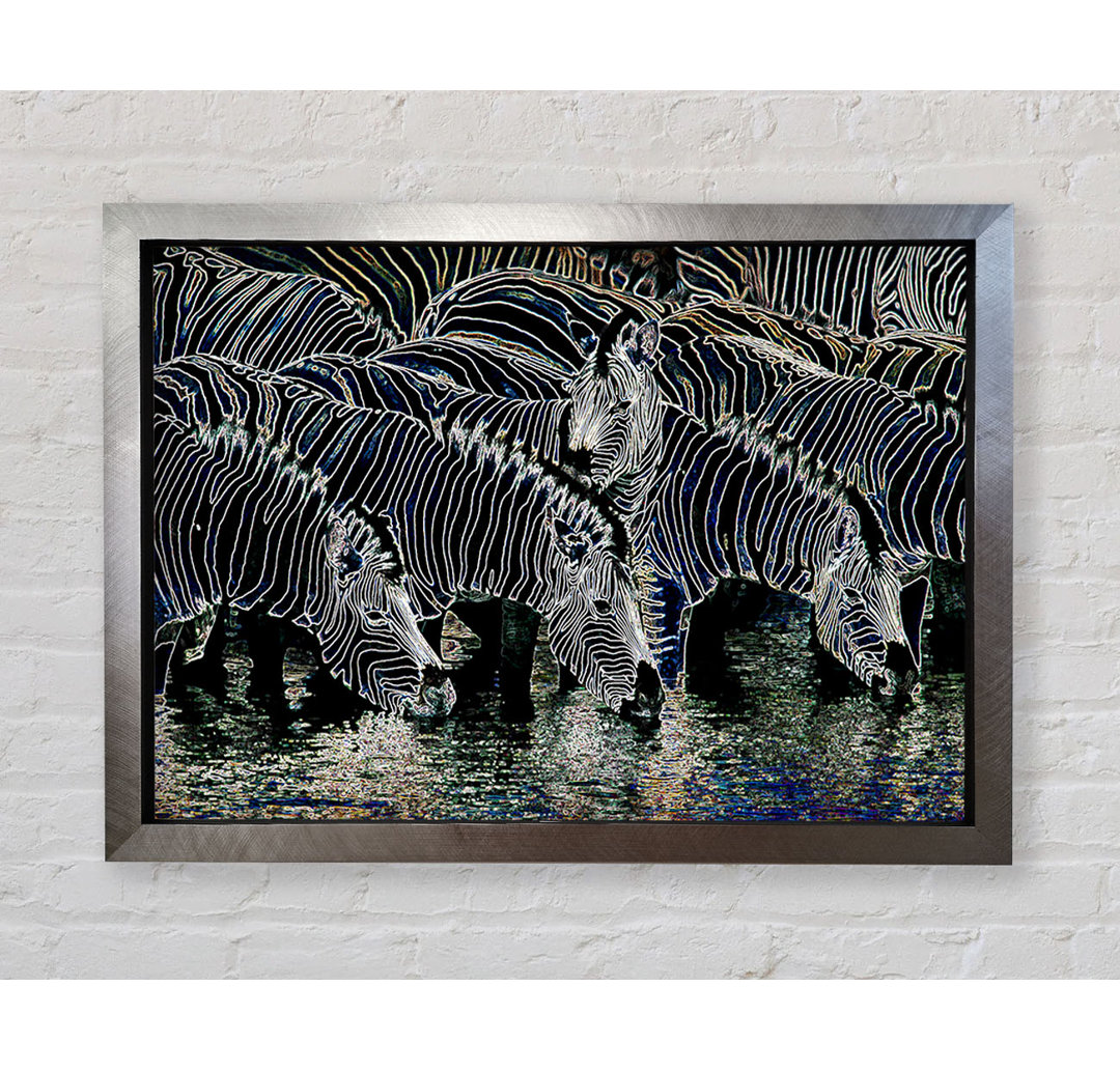 Zebra am Wasserloch Gerahmter Druck Wandkunst