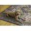 Tapis ivoire et doré Aspers-612702193