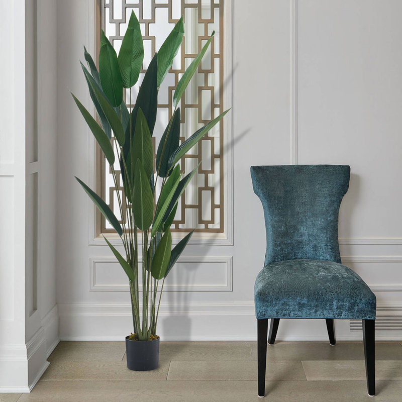 Plant, 183cm H x 20cm W x 20cm D