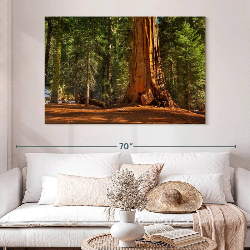 Alvord général Grant Grove arbres, H 34 po x l 51 po