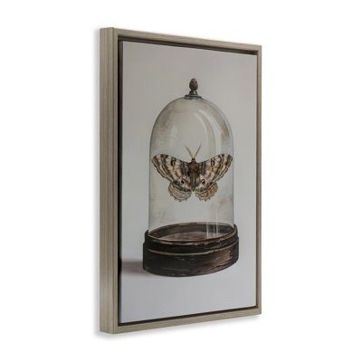 Toile flottante «Moth in Glass Cloche» par Petal Prints Design