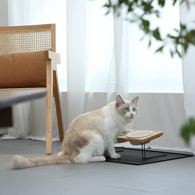 Elevated Cat Ceramic Bowls, Small Dog 15° Tilted Raised Food Feeding Dishes, Solid Bamboo Water Stand Feeder Set