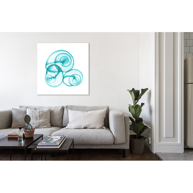 Turquoise Sky Snails - Wrapped Canvas Print, 91 cm H x 91cm W x 4cm 