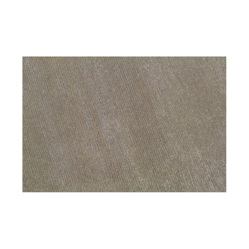 Area Rug in Beige