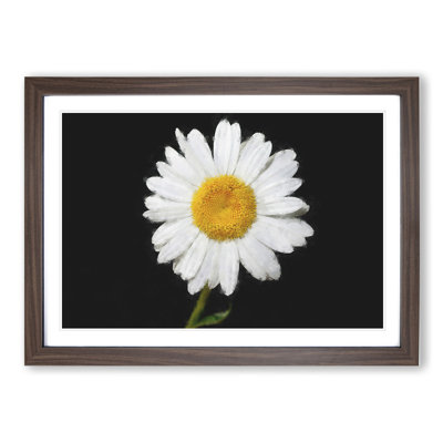 White Daisy Vol.6 Painting - Picture Frame Graphic Art