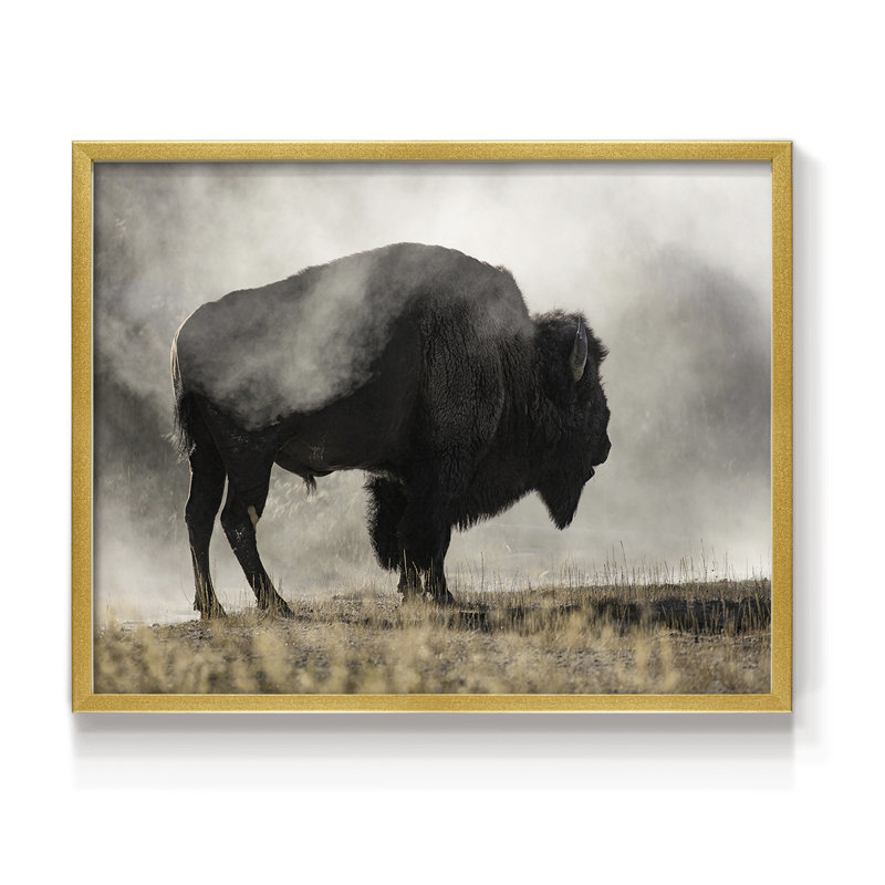Geyser Basin - Reproduction encadrée - Restickable, H 11 po x l 14 po, Doré