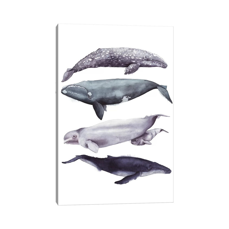 Whale Stack I 1 Piece Wrapped Canvas Wall Art, 66.04 cm H x 45.72 cm W x 3.175 cm D