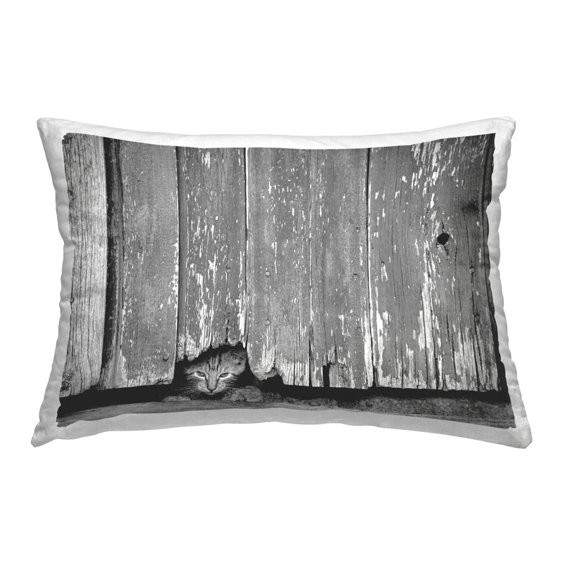  Polyester Throw Pillow
