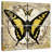 Brampt Honey Bee Butterfly II-109110731