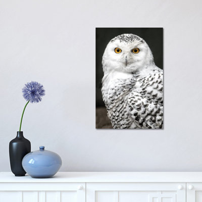 Snowey 1 Piece Wrapped Canvas Wall Art