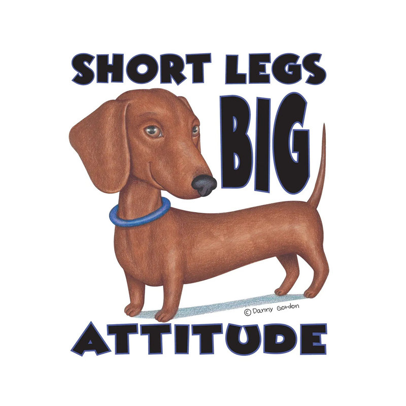 Dachshund With Blue Collar With Words by Danny Gordon - Wrapped Canvas Gallery-Wrapped Canvas Giclée, 12" H x 12" W