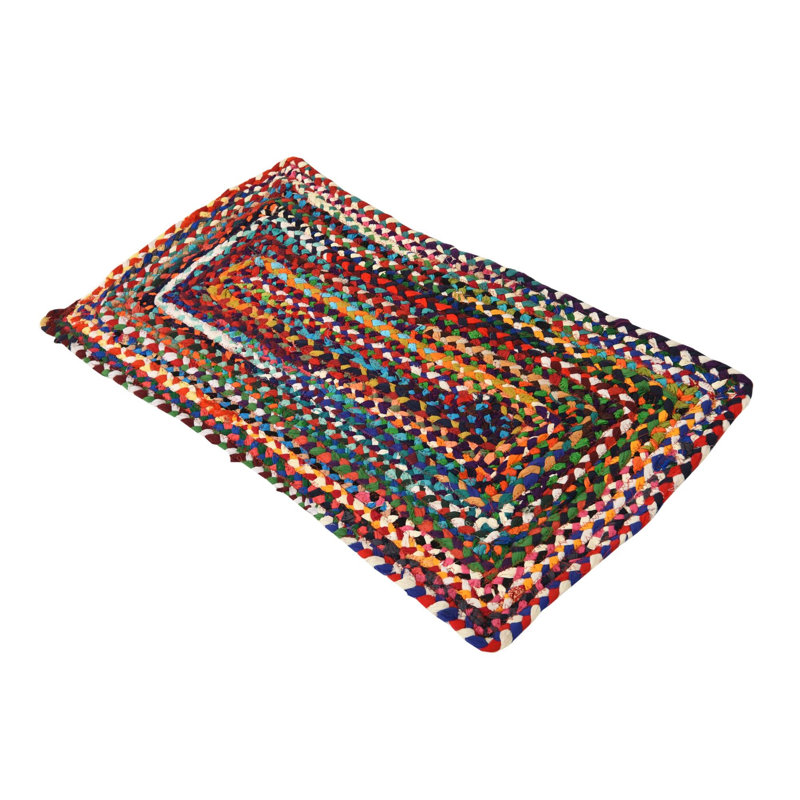 Hand Braided Cotton Southwestern Indoor Rug, Rectangle 2'2" x 3'7"