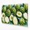Art mural sur toile beige Fruit Soursop