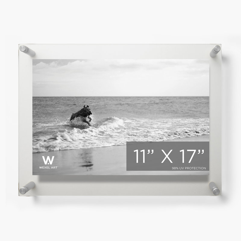 Clear UV-Grade Acrylic Modern Floating Picture Frame, Silver, 11" W x 17" H