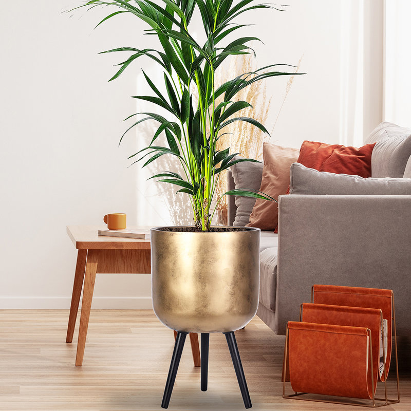 Idealist Concrete Effect Round Planter With Legs, Round Indoor Plant Pot Stand For Indoor Plants, 61cm H x 37cm W x 37cm D