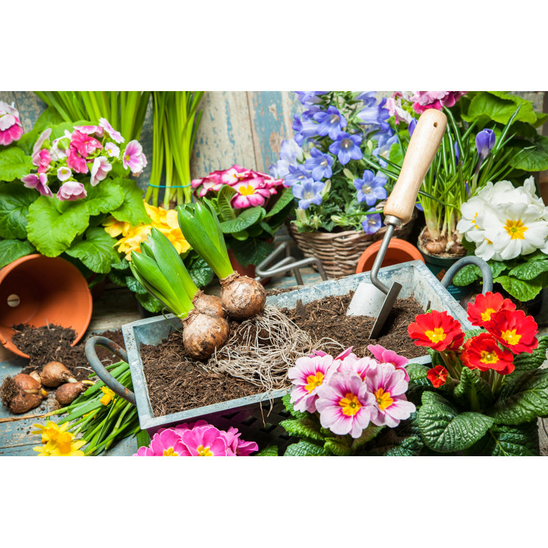 Gardening by Alexraths - Wrapped Canvas Print, 51cm H x 76cm W