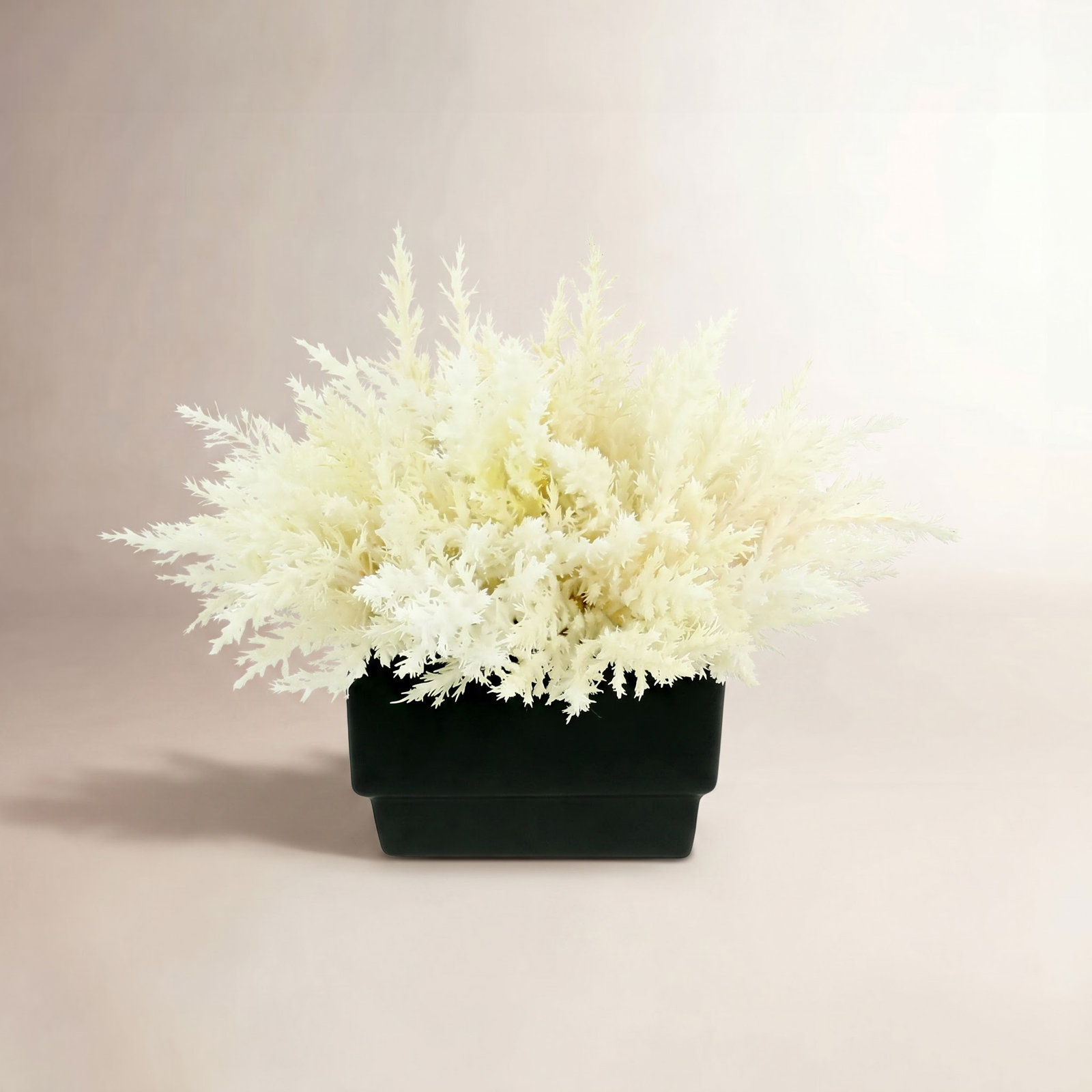 Pampas Floral Arrangement, 13" H x 16" W x 16" D, Black/White