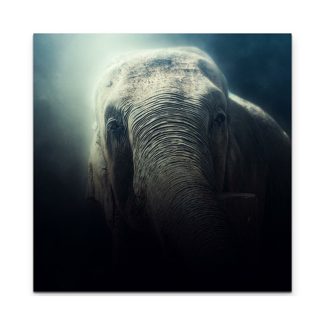 Leinwandbild Portrait Elefant