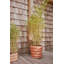 Awa Planter