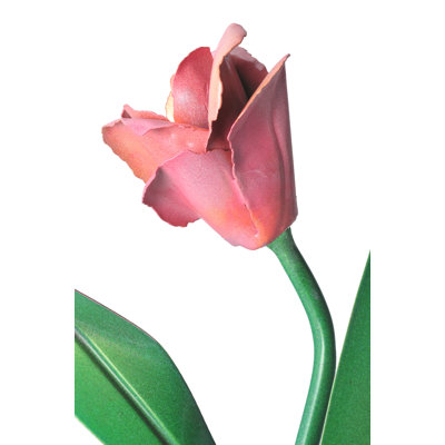 Tulip 1 - Light Wallchiere