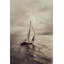 Sailing-562490670-562490667