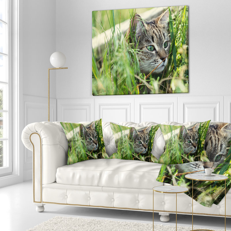 Joli chaton dans l'herbe - oreiller imprimé animal, 16 po x 1 po, Coussin décoratif