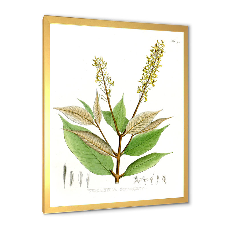 Plante brésilienne rétro V - peinture sur toile, H 20 po x l 12 po x P 1po, Cadre doré