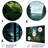 Canada Whispering Pines I Cities & Countries Wall Decor on Metal