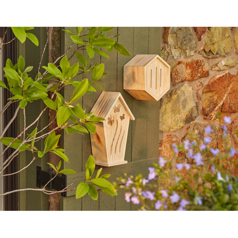 Maison papillon 12 po x 8 po x 4 po