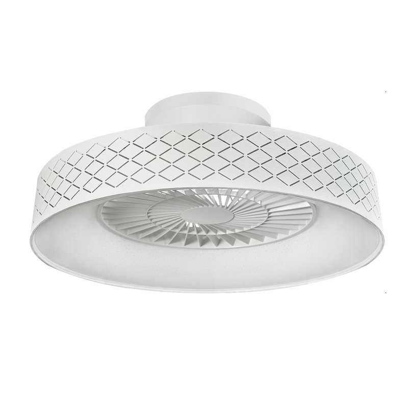 Ridgetop 22.4'' Ceiling Fan with LED Lights, White