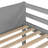 Twin Loft Bed