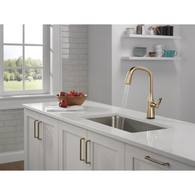 Robinet de cuisine à poignée simple sans contact Stryke avec technologie Delta VoiceIQ et avec accessoires