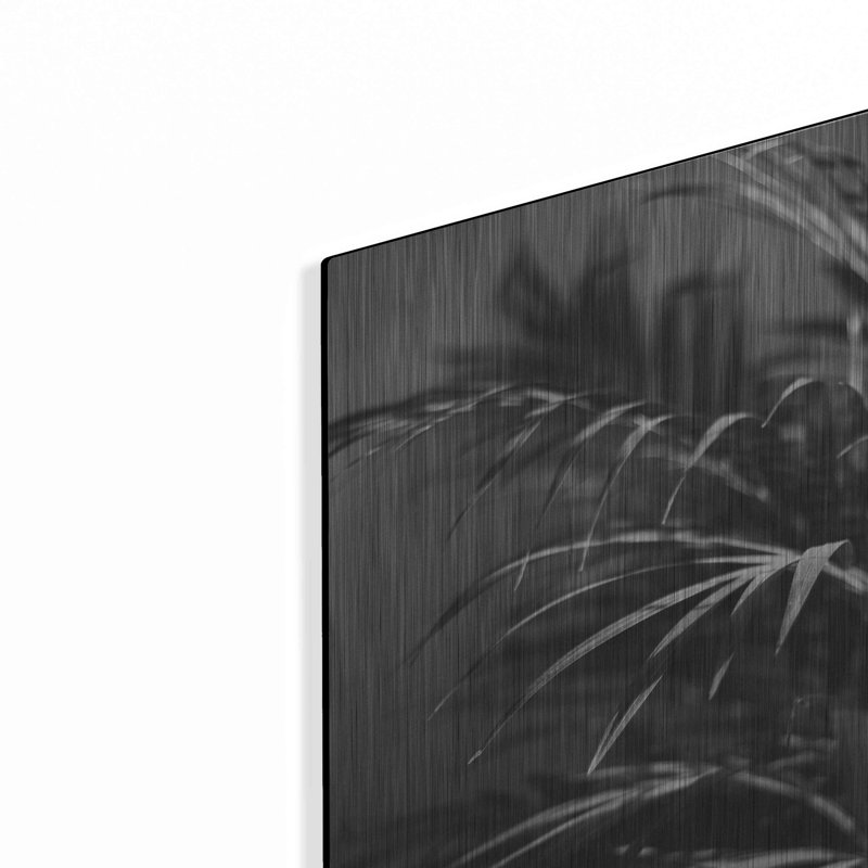 «Black Plant» par Design Fabrikken, art mural en métal, H 16 po x l 12 po