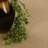 Kelton Indoor Rug-22587752