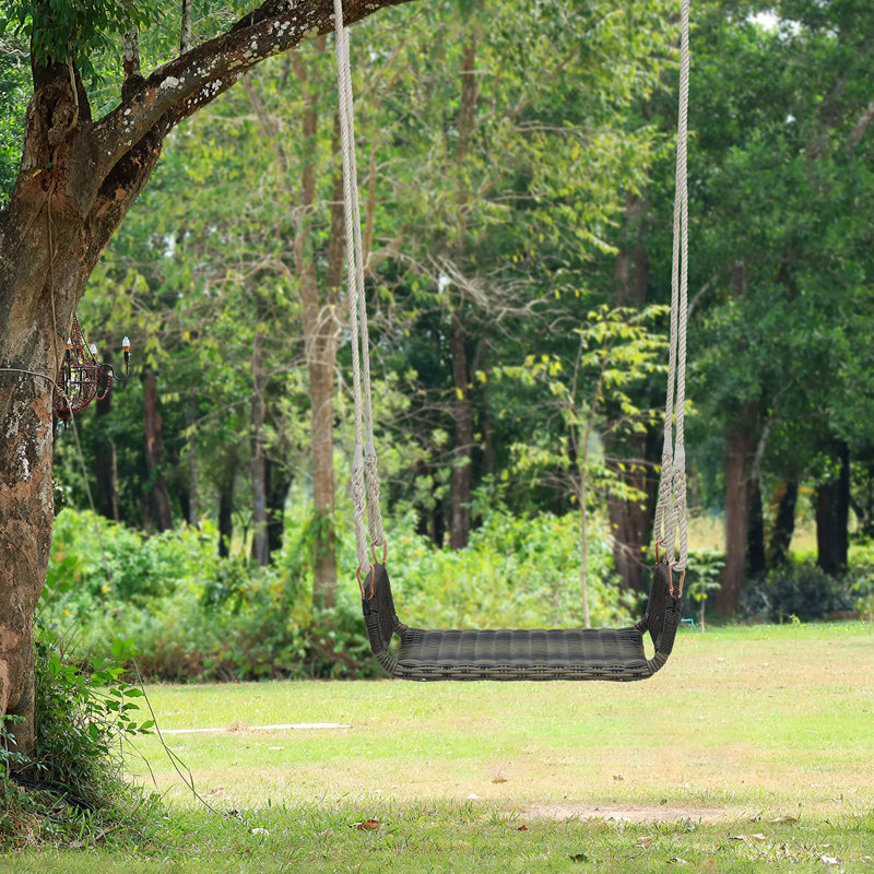 Roeline 1 Person Hanging Porch Swing