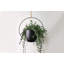 Jardinière suspendue Ray-490978007