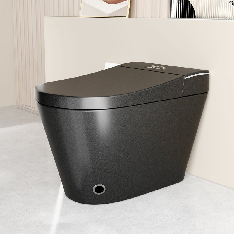 Smart Toilet Bidet, Auto Open/Close Seat,With Dryer And Warm Water, Black