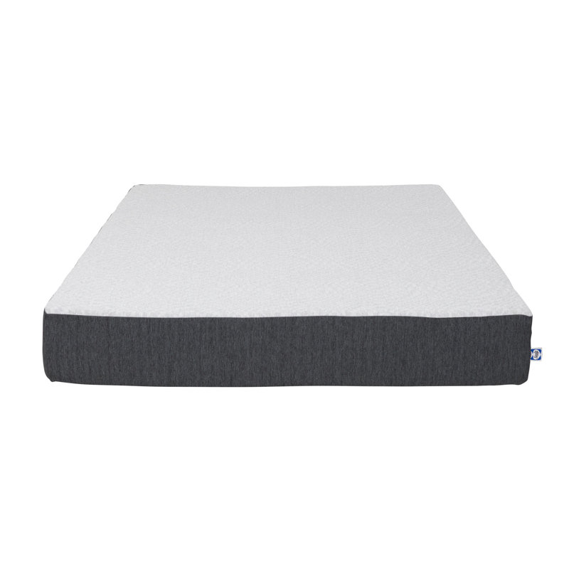 Sealy F03-00155-QN0 Essentials 10 In Hybrid Mattress in a Box, Queen Size, White