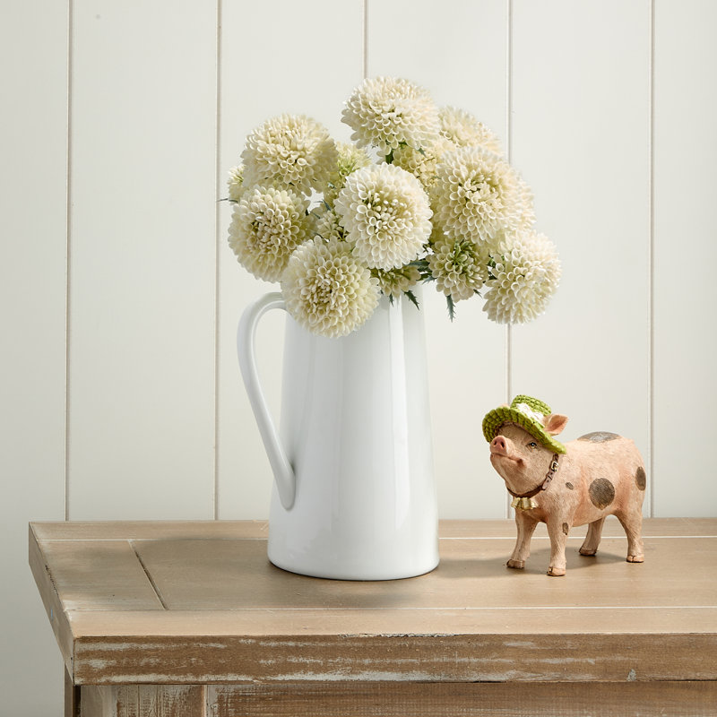 Ensemble de 14 po Scabiosa, Crème