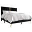 Amapola Upholstered Bed-37439329-37439359