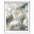 White Shadowbox